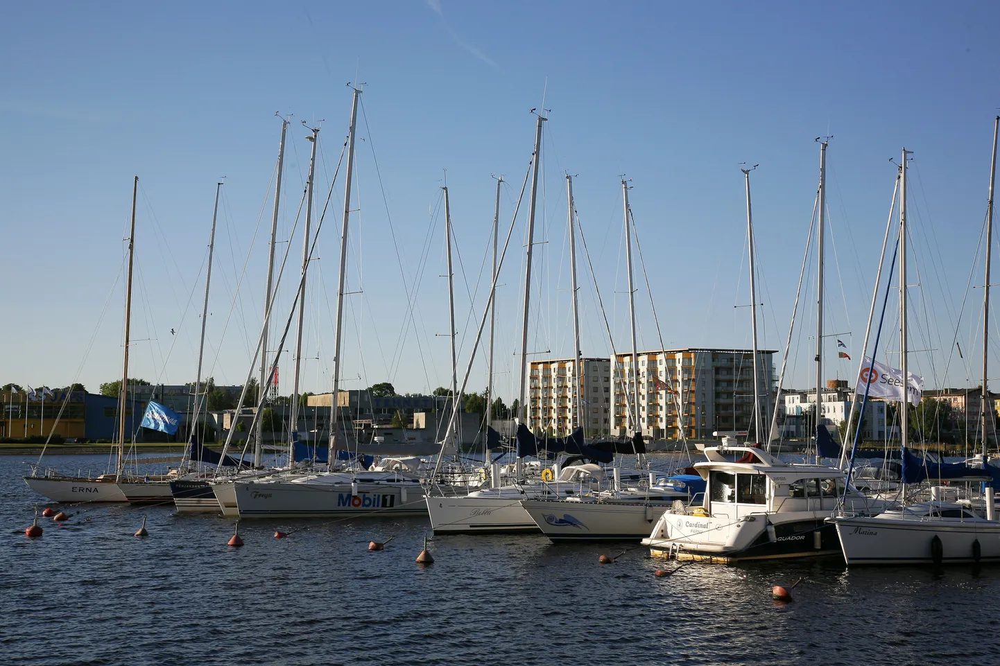 Jahid kai ääres.