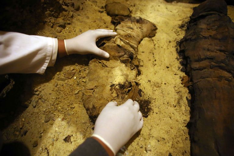 Egiptuse Tuna el-Gebeli nekropolist leiti 50 muumiat