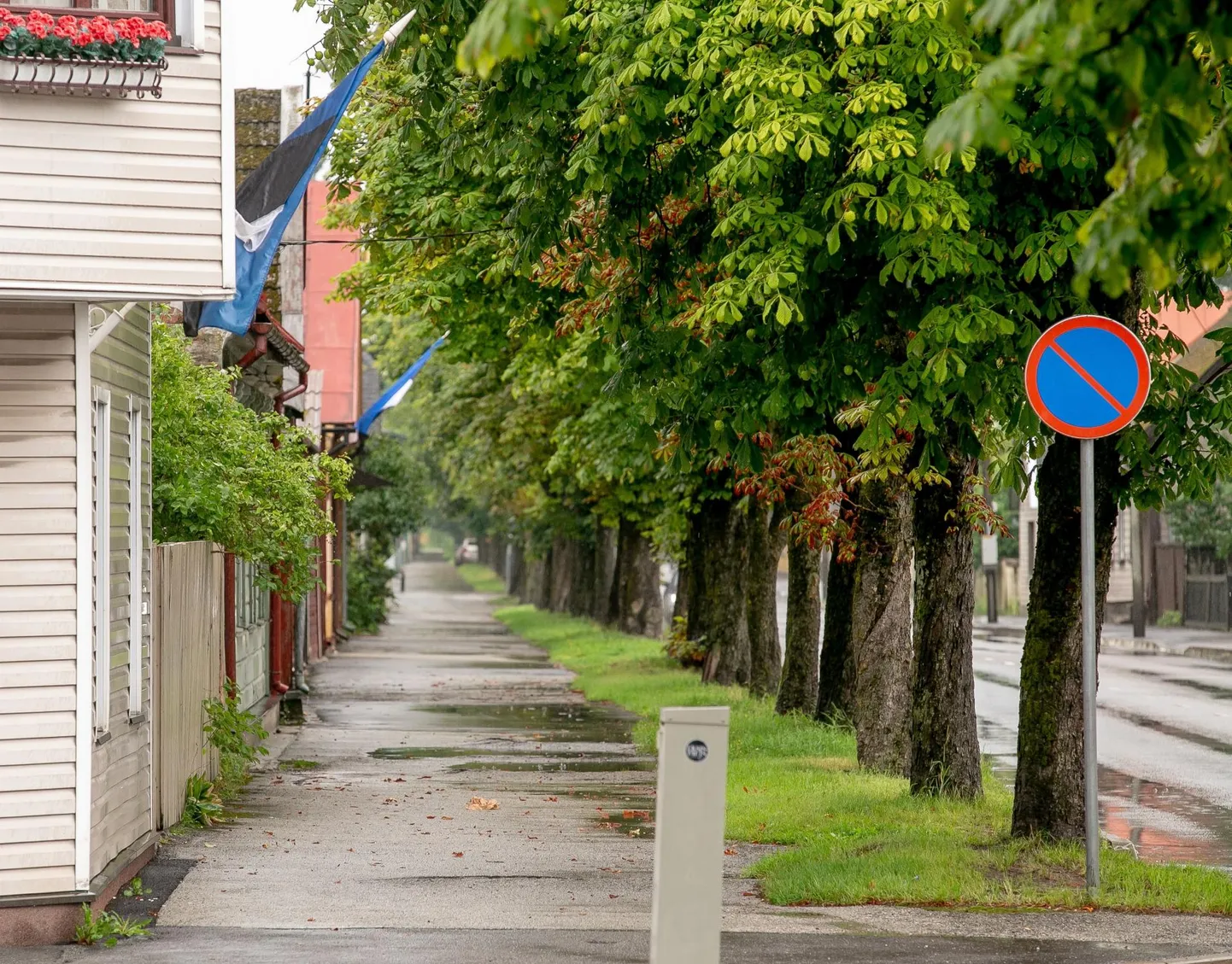 Esimest korda lipupäevana tähistataval lastekaitsepäeval võis sinimustvalgeid loendada märksa vähem, kui neid tavaliselt on näha näiteks taasiseseisvumispäeval.
