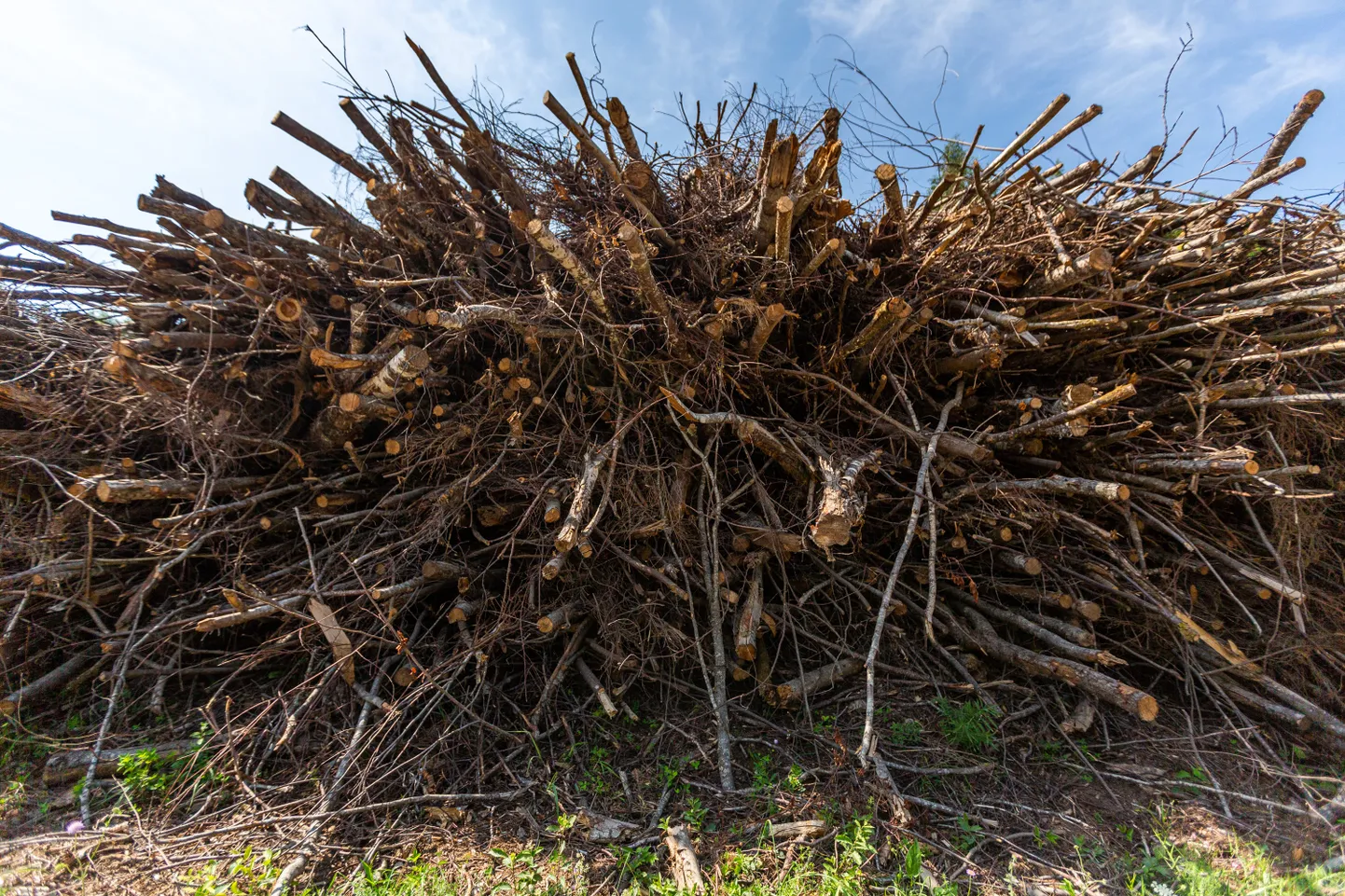 Euroopa Liidu metsade raadamise määruse eesmärk on tagada, et ELi turule jõuaksid ainult sellised tooted, mille tootmisel ei ole kahjustatud metsi ega loodust.