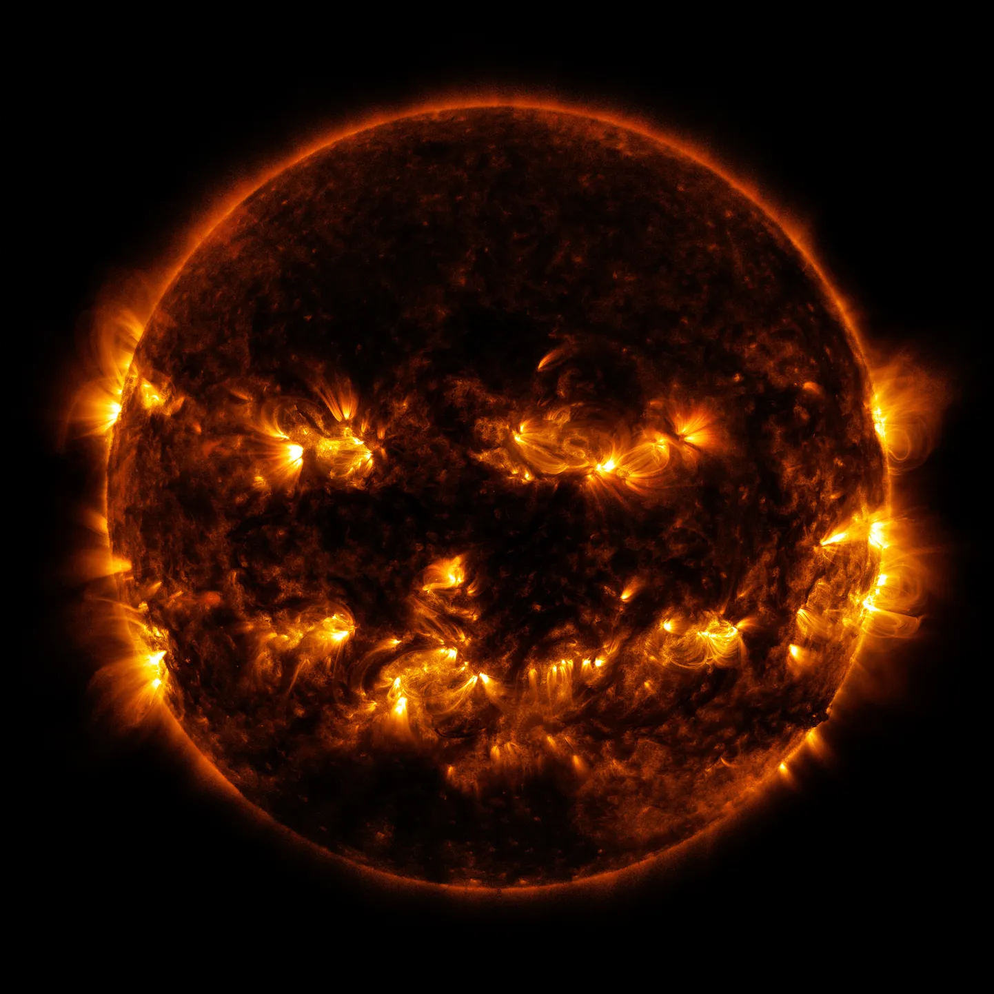 USA kosmoseagentuuri NASA  2014. aasta augusti foto, millel on näha Päikese aktiivsed piirkonnad