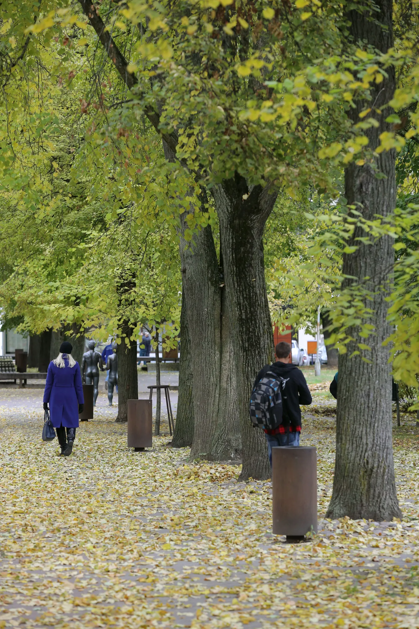 Tartu kesklinna vaade.