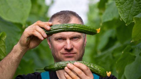 Küttekulu on jõhker, kuid kurk peab kevadeks valmis olema