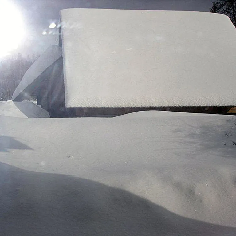 Māras Zālītes lauku māja ziemas sniegos 