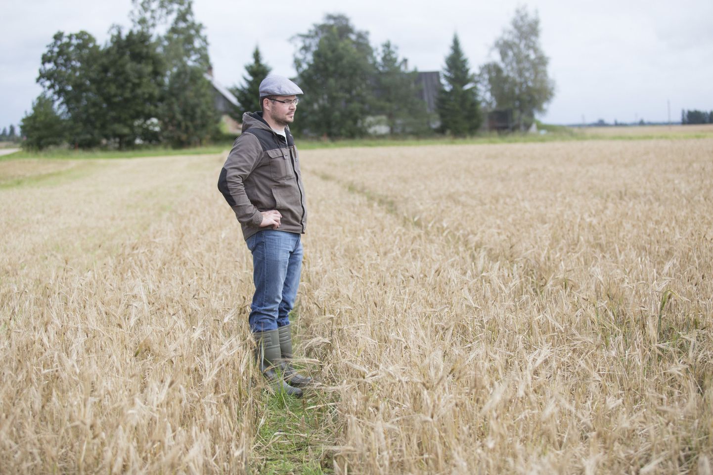 Seemne müümiseks asutatud Viru Seemne tegevjuht Ott Läänemets peab firma tugevuseks oma tootmisettevõtte kogemusi.