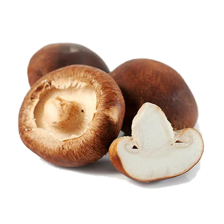 Shiitake seened