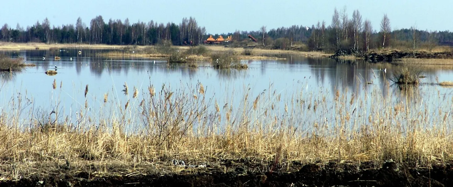 Kasutatud turbaväli Lavassaare turbarabas
