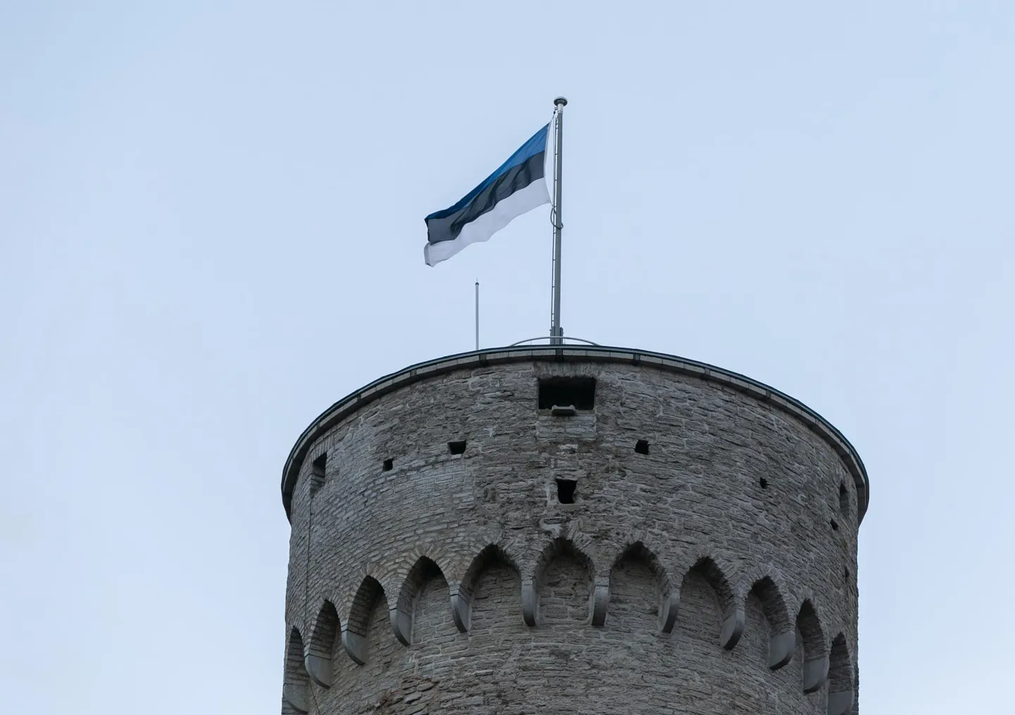 Pikk Hermann.