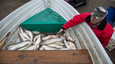 Pärnumaa kalurid olid nutiseadmete toetuse taotlemisel kõige aktiivsemad