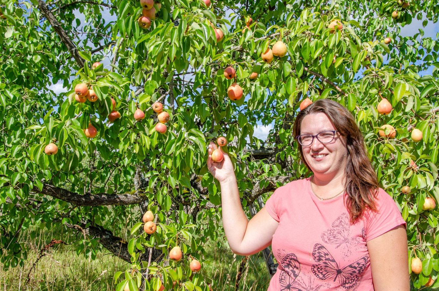 Eesti maaülikooli põllumajandus- ja keskkonnainstituudi Polli aiandusuuringute keskuse teadur Kristine Volens jääb pirnidega rahule.