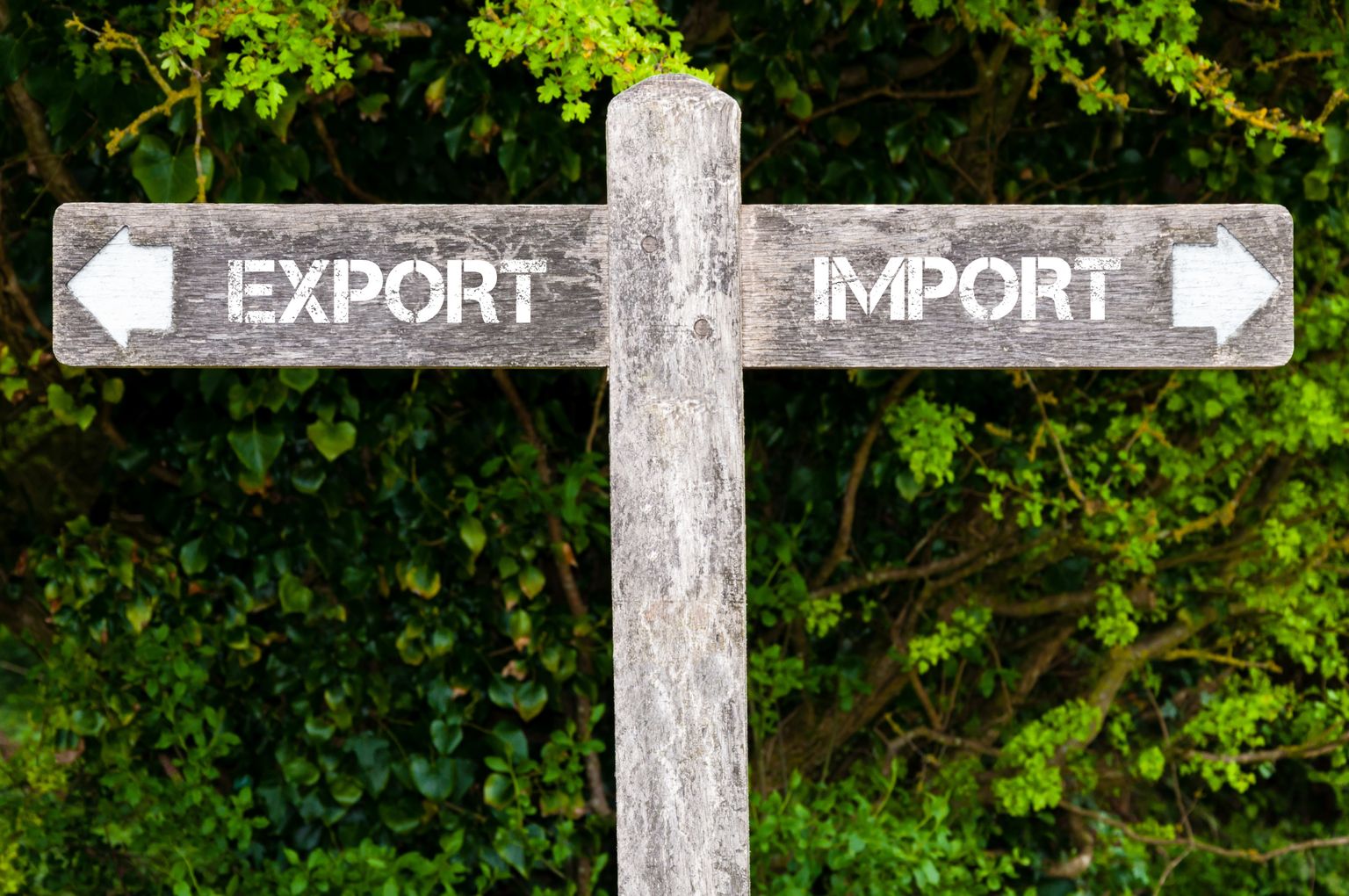 Экспорт и импорт. Иллюстративное фото.