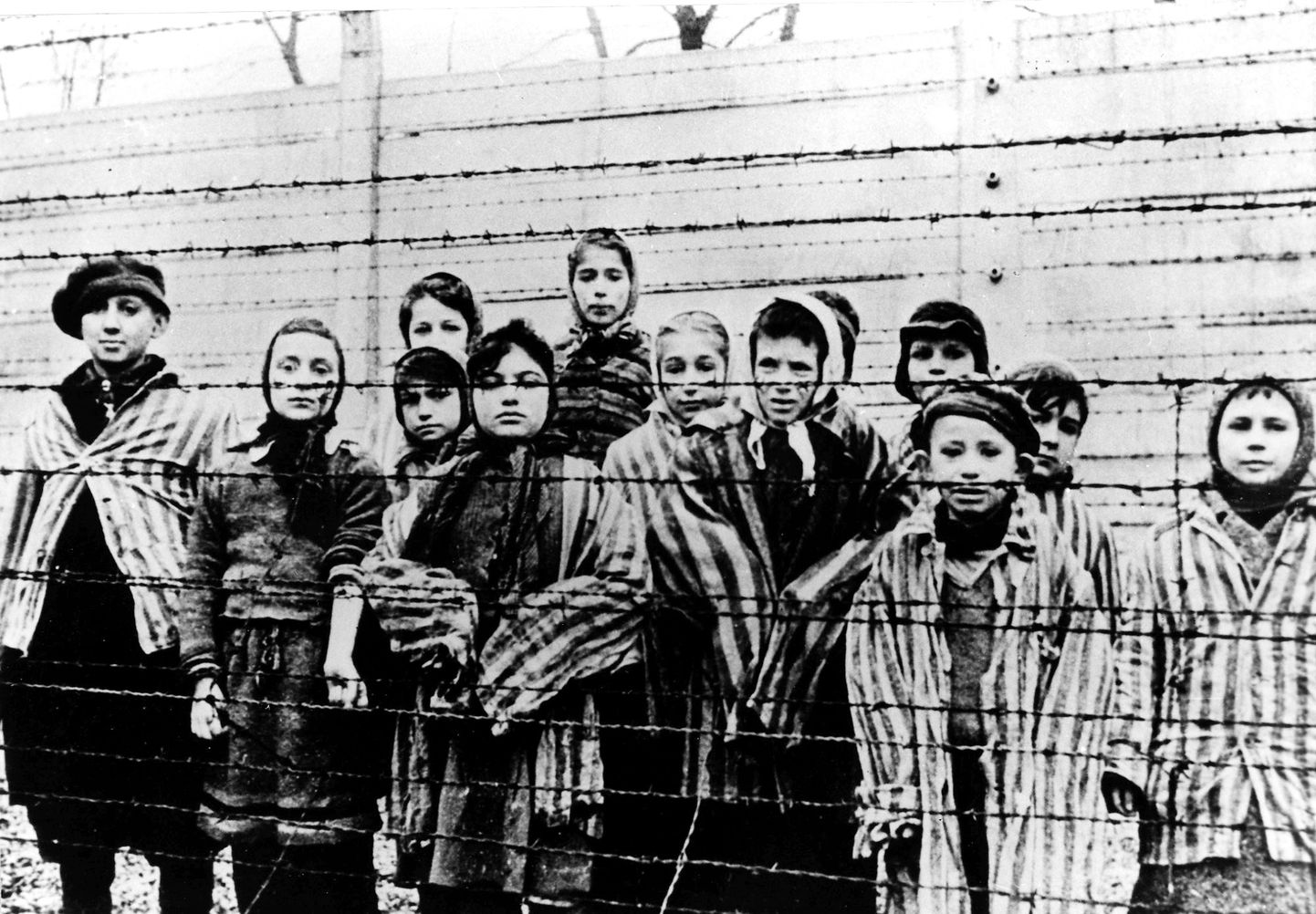 Vangid Auschwitzi koonduslaagris.