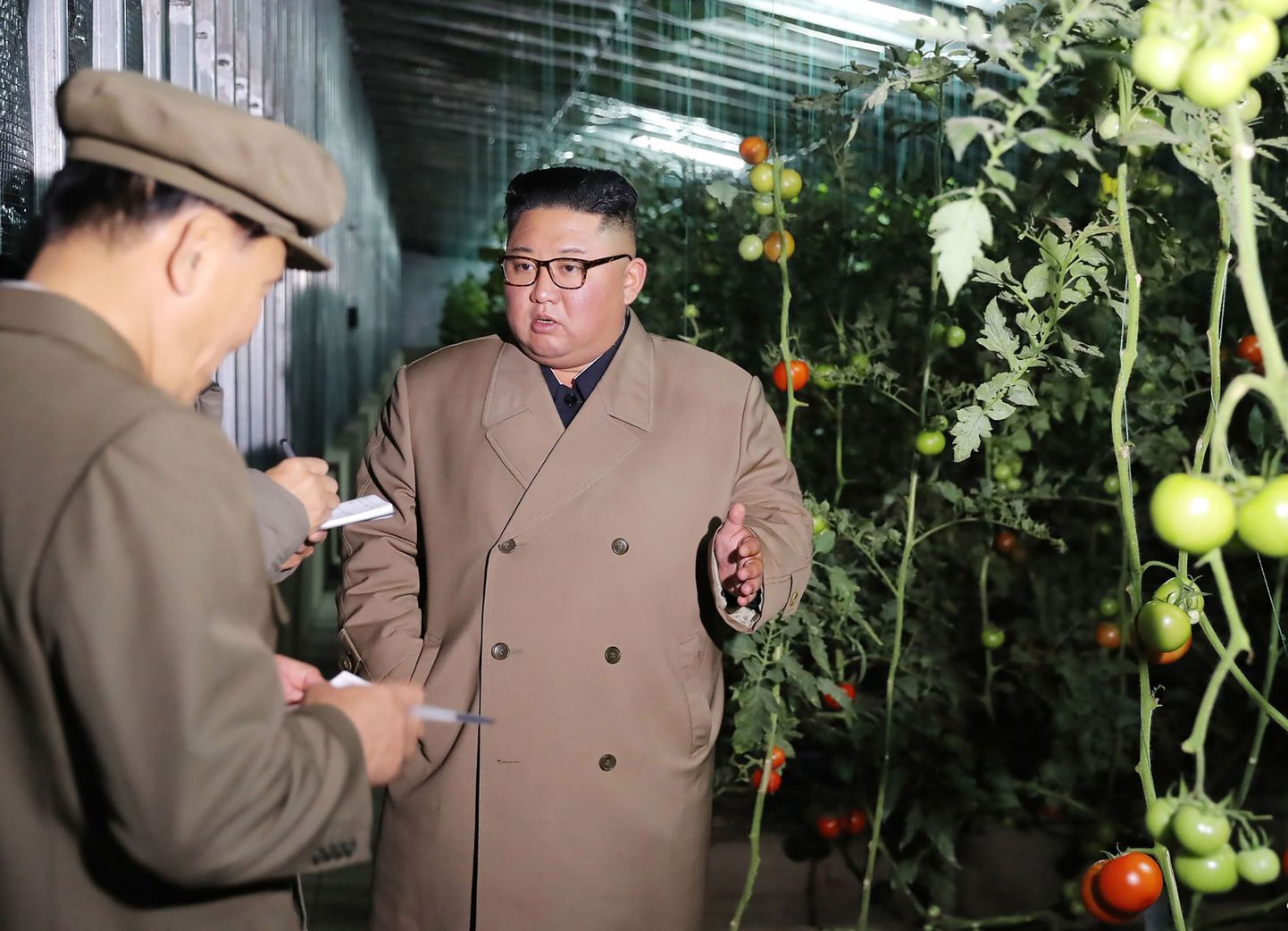 Kim Jong-Un kasvuhoones.