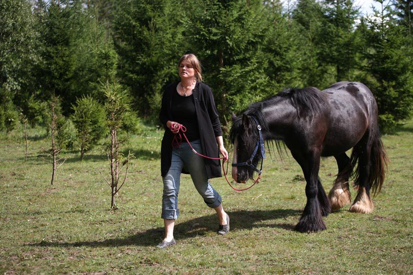 Psühholoog ja eripedagoog-nõustaja Hele Aluste aitab ratsutamisteraapia kaudu psüühikahäiretega lapsi ja korraldab huvilistele juunikuus koolituse hobuste paremaks tundmaõppimiseks.