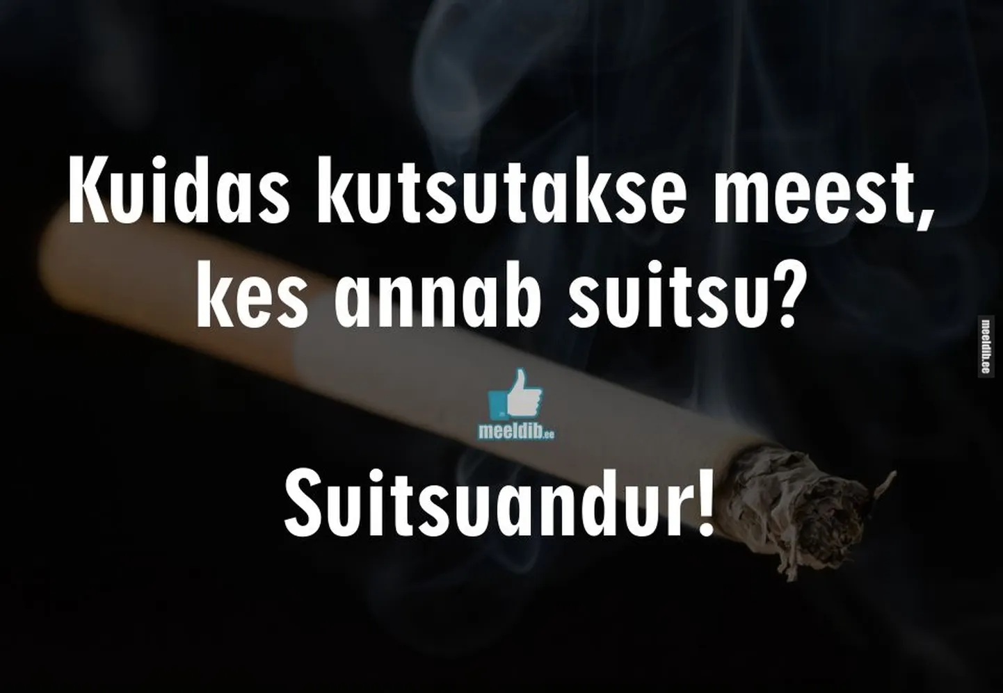 Artikli foto