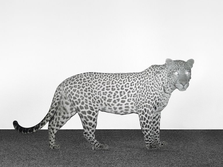 Näituse tunnusvisuaal on öine jäädvustus leopardist. Katja Novitskova: «See loom juhtus juhuslikult ühel öösel kaamerast mööda minema ja nüüd ma võtan selle foto, niisuguseid fotosid on veebis tuhandeid, ja muudan selle fossiiliks, fotoskulptuuriks, et see leopard jääks ajalukku.»