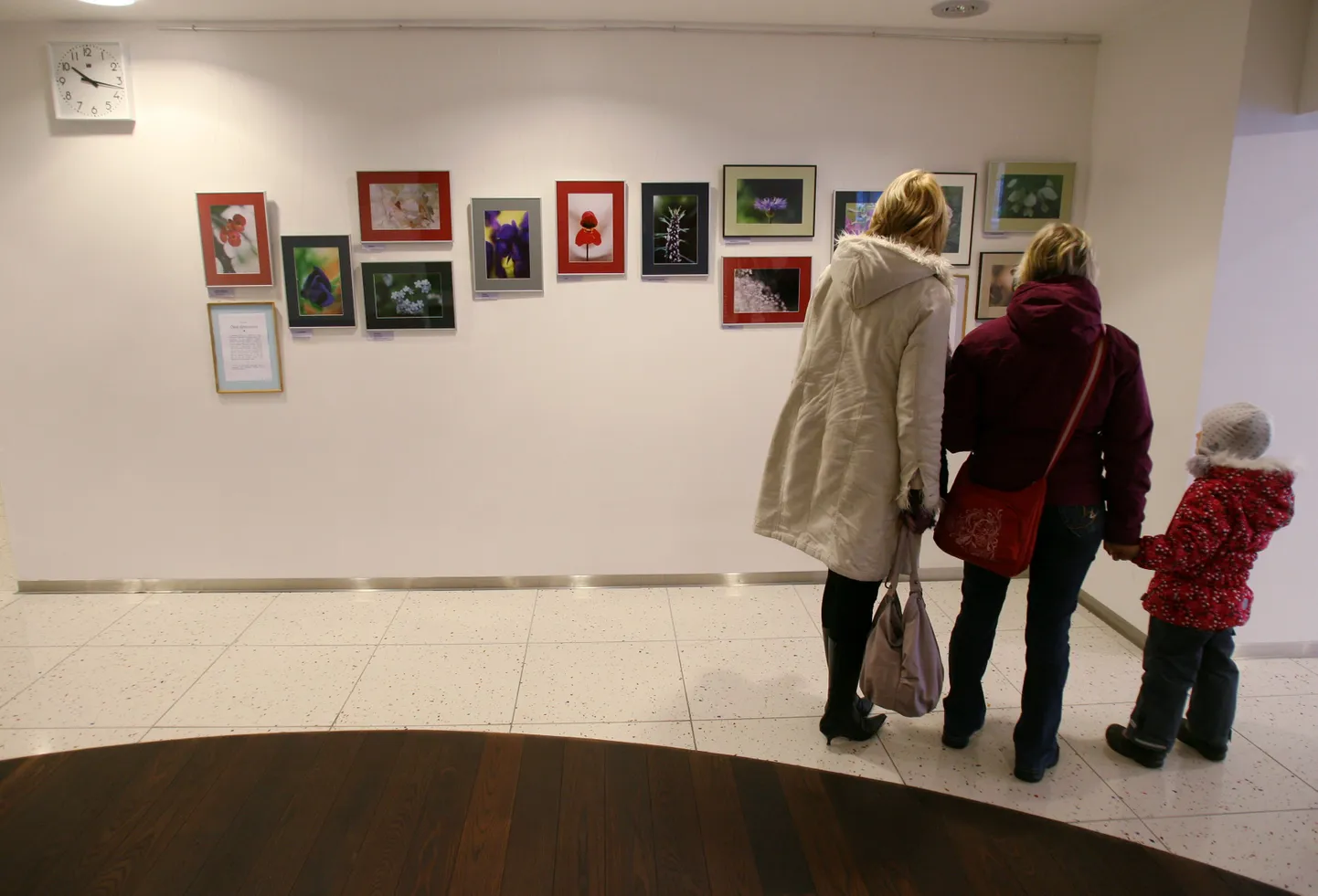 Elva loodusfotograafi Enn Lumeti fotonäitus «Kodukandi õied»  TÜ kliinikumis.
