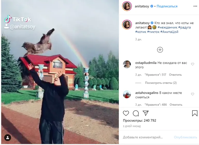 Instagram @anitatsoy