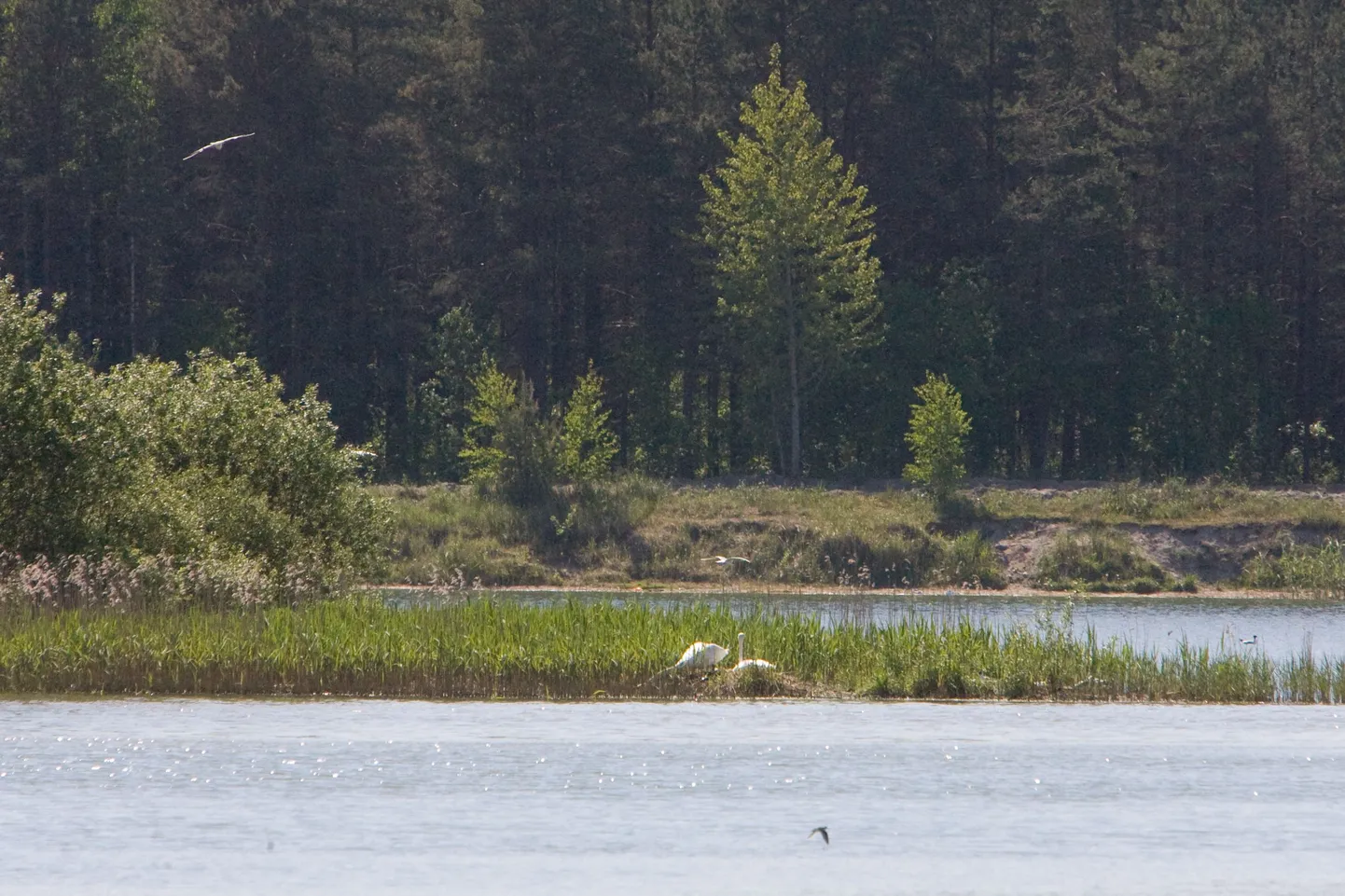 Registrist kadus ka Raku järv, mis on Männiku karjääridest suurima ametlik nimi.