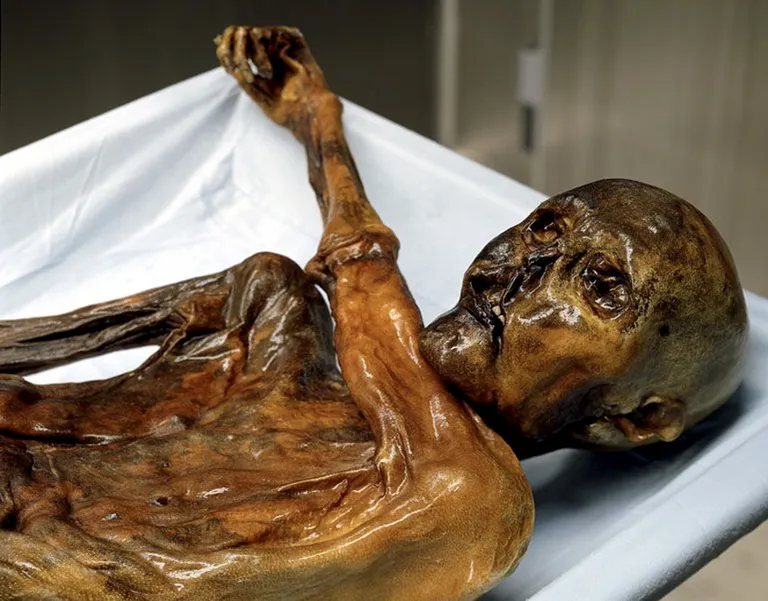 Jäämees Ötzi, kelle matkajad leidsid 1991 Alpidest ja kes elas rohkem kui 5000 aastat tagasi