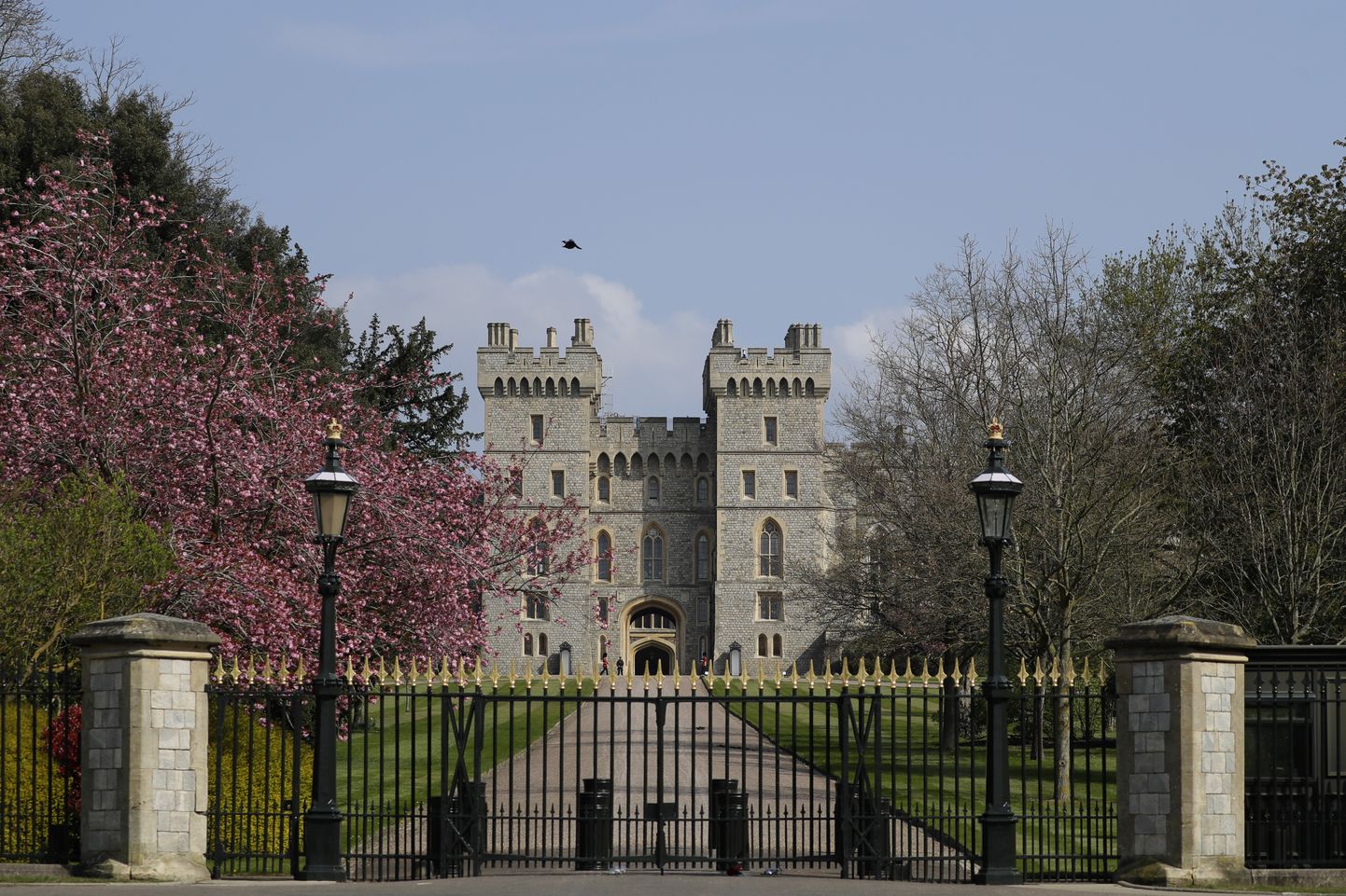Windsori loss.