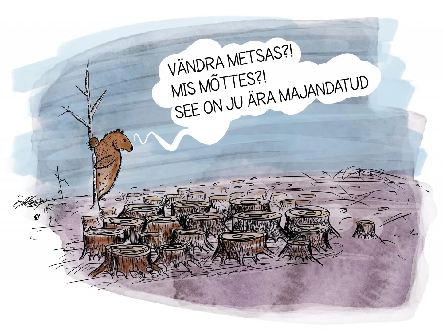 Artikli foto