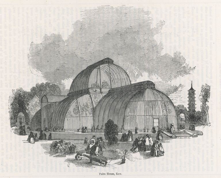 Palmu mājas skice, 1857. gads