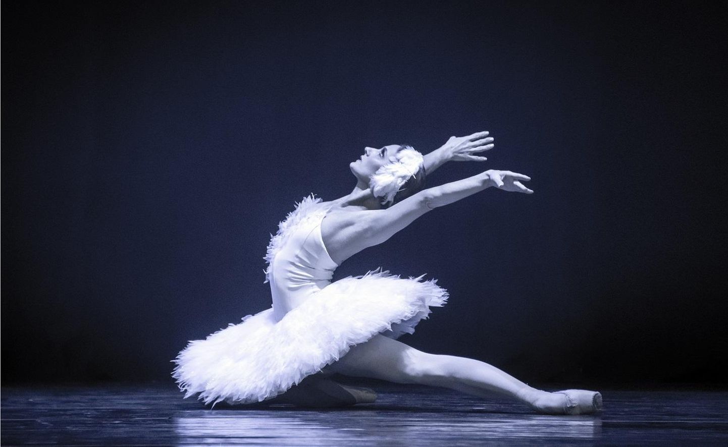 Harkivi rahvuslik akadeemiline ooperi- ja balletiteater toob Jõhvi kontserdimajja «Giselle’i».