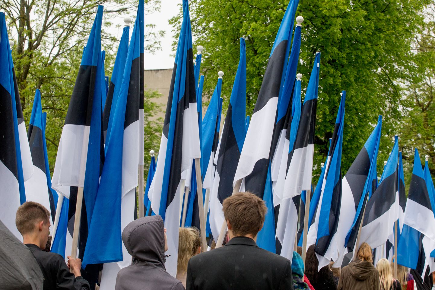 Pärnus Koidula parki kogutakse kell 17 kokku 134 sinimustvalget kandelippu. Foto on illustreeriv.
