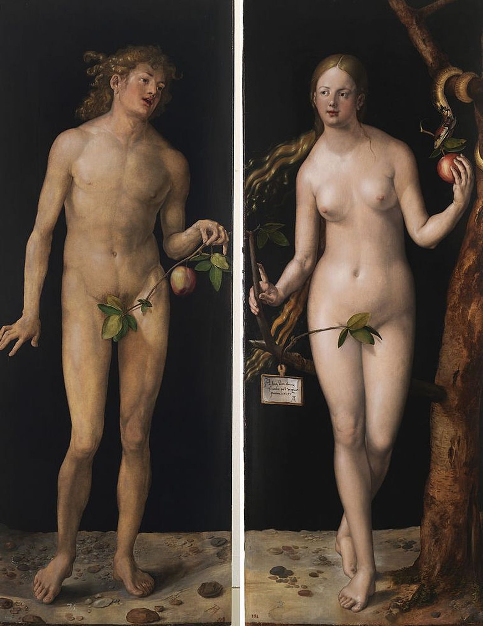 Albrecht Drüreri maal «Aadam ja Eeva»