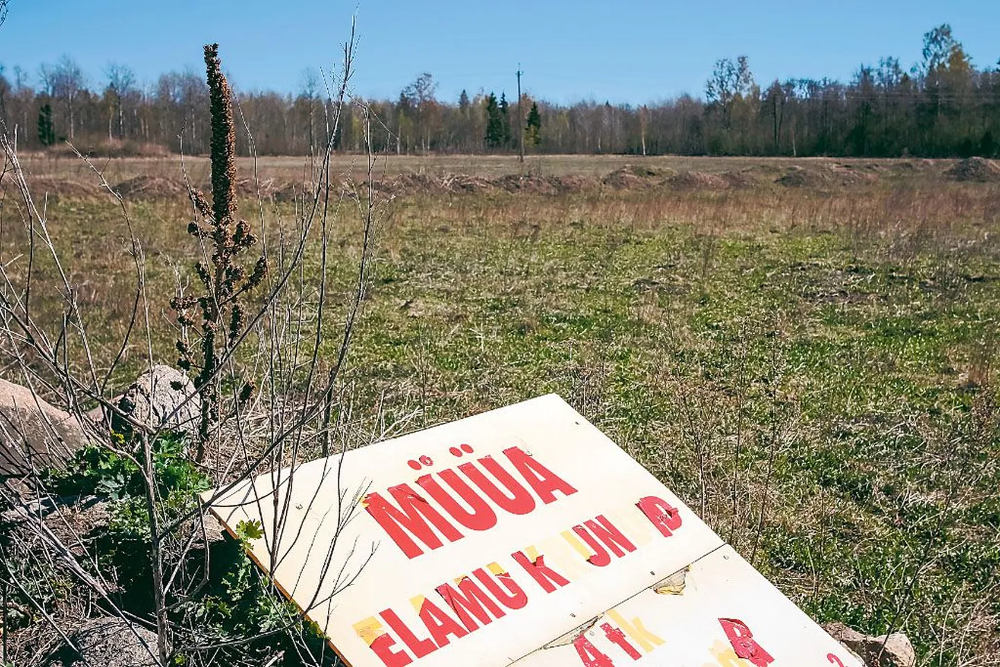 Tõstamaal saab endale soetada mereäärseid krunte, selliseidki, kus Tõhela järv on vaid kiviviske kaugusel.