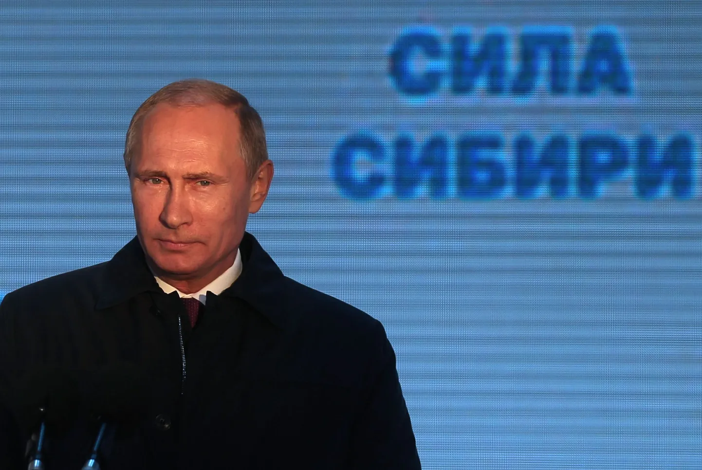 Владимир Путин открывает строительство нового газопровода.