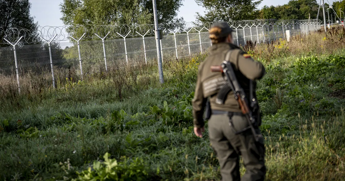 Lithuania Drops Plans to Plant Forests Along the Suwałki Corridor for Defense, Focuses on Restoring Wetlands Instead