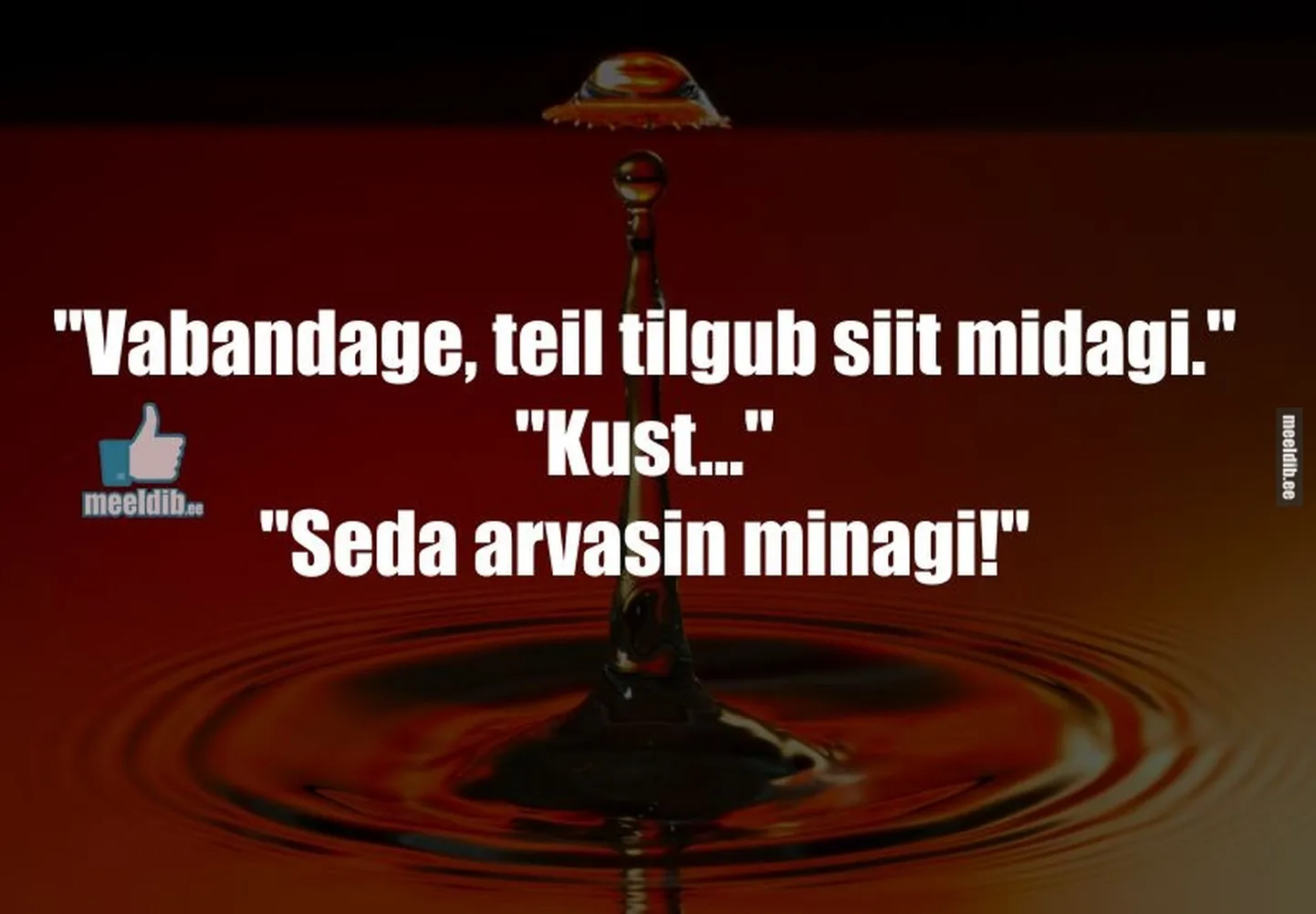 Artikli foto