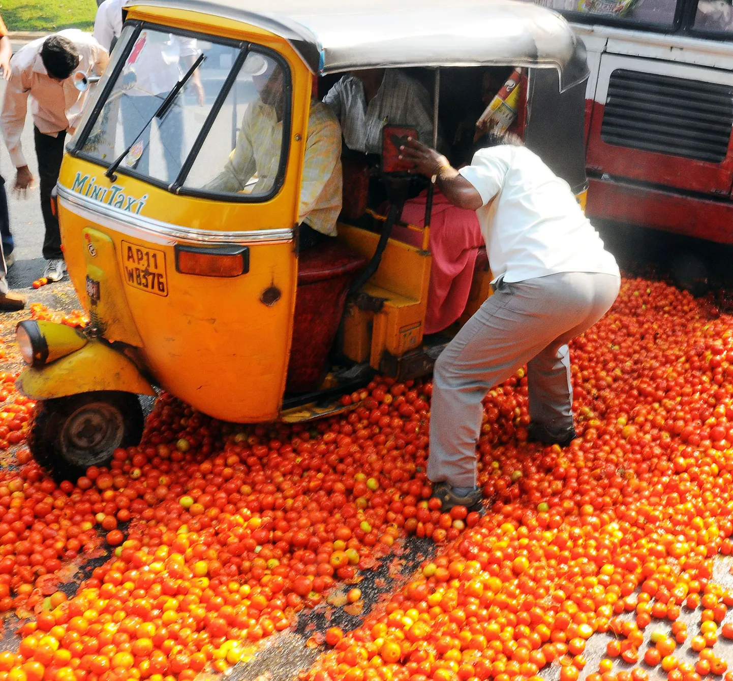 India farmerite protestiaktsioon