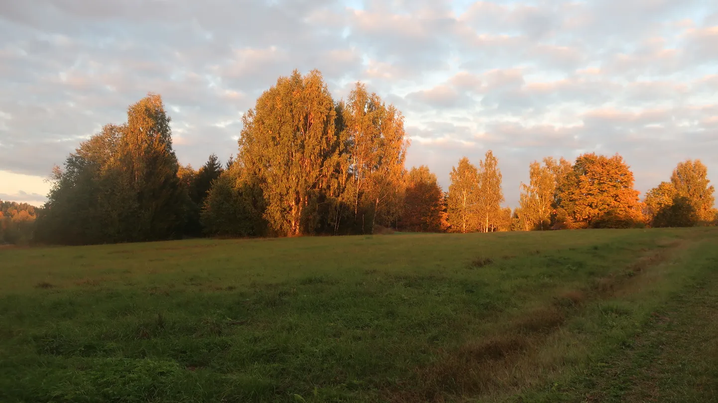 Lähipäevade õhutemperatuur kostitab meid maksimaalselt 12-13 kraadiga.