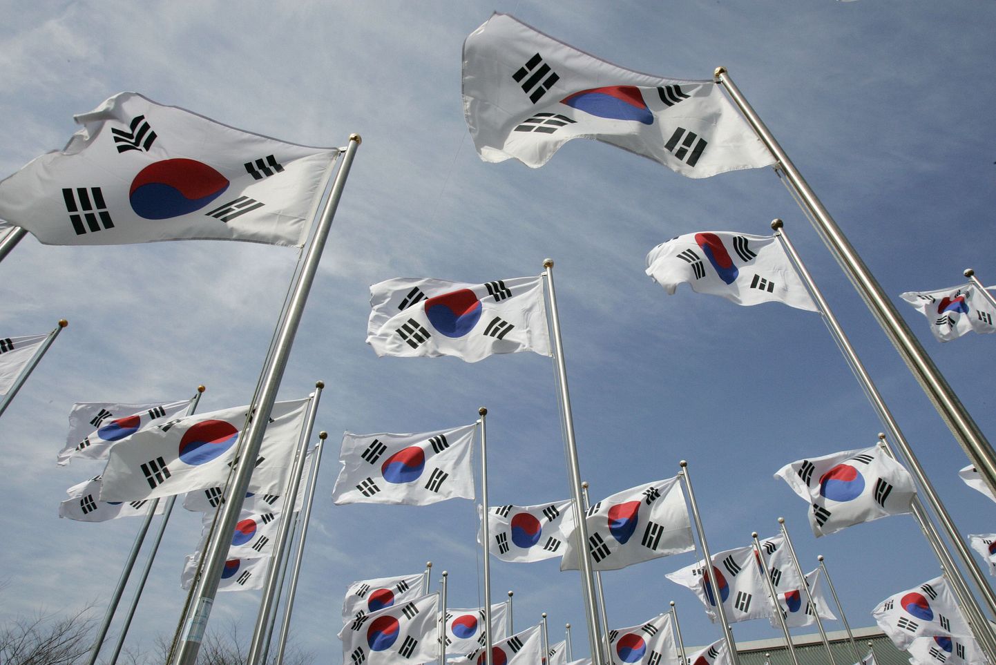 Lõuna-Korea lipud.