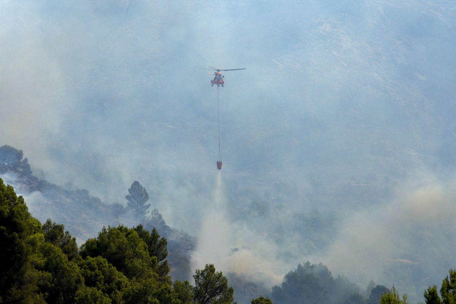 Hispaanias Vall d'Ebos alguse saanud metsapõleng 16. august 2022.