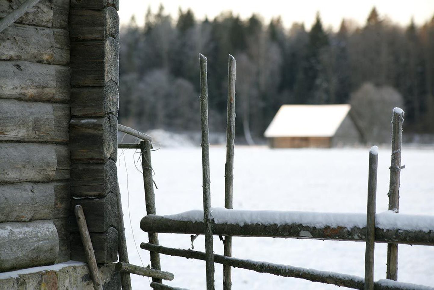 Talvemuinasjutt Carl Robert Jakobsoni 1874. aastal rajatud talus Kurgjal, mis tegevmuuseumina oma 81 hektaril on üks Pärnumaa visiitkaarte.