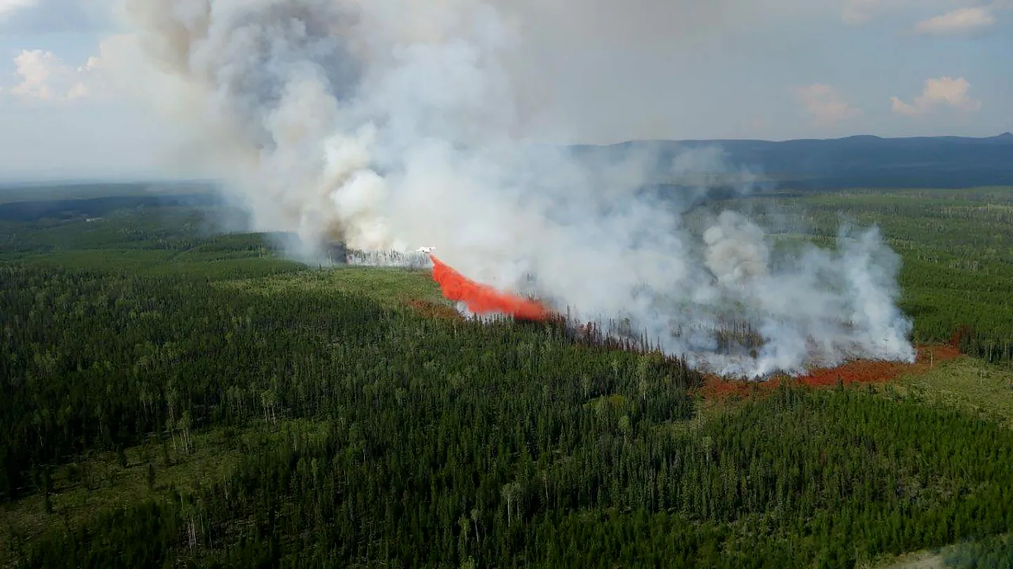 Maastiku- ja metsapõleng Kanadas. Foto  on illustratiivne.