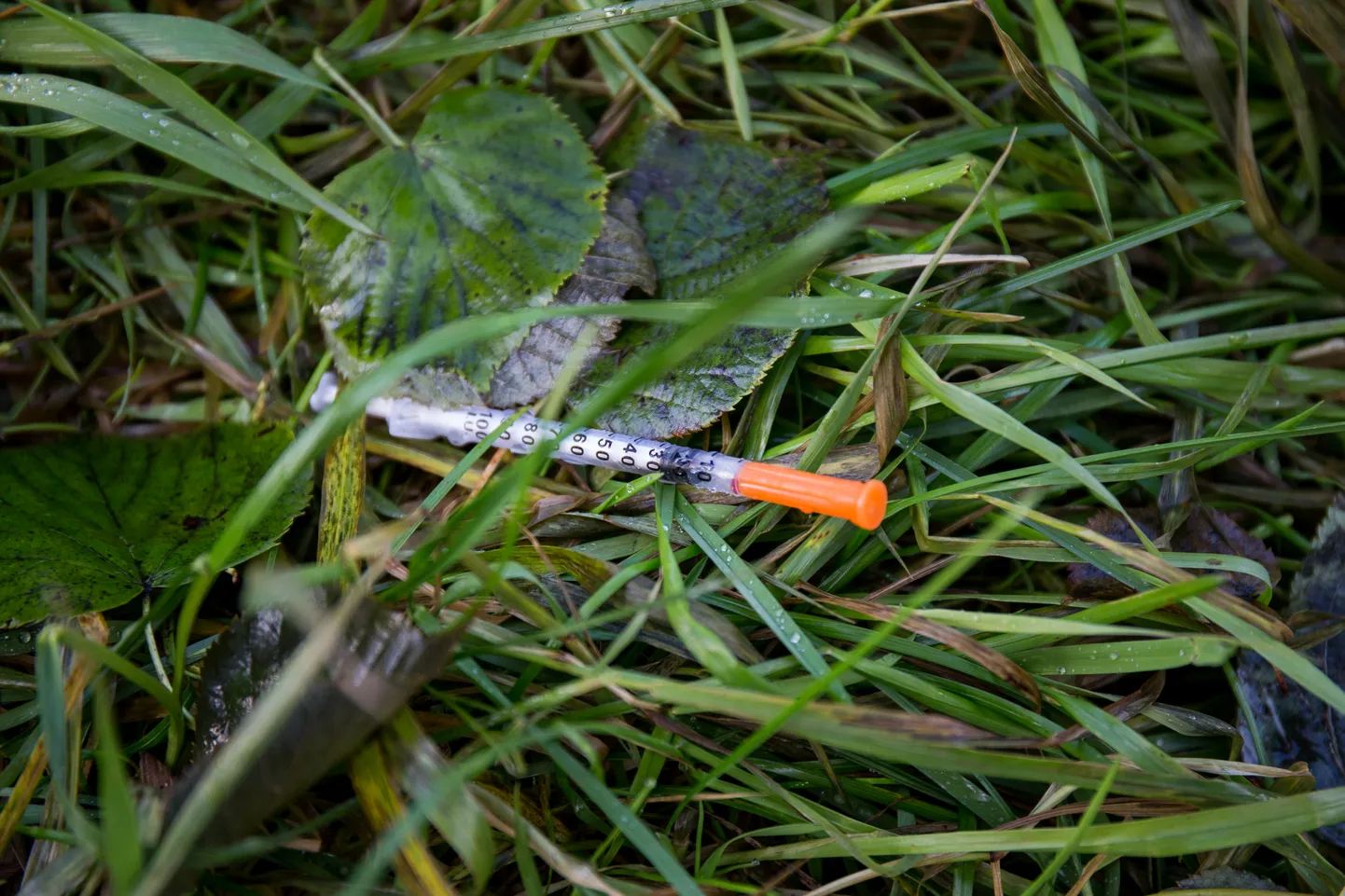The number of drug overdose deaths in Estonia has been increasing exponentially since 2022 compared to previous years.