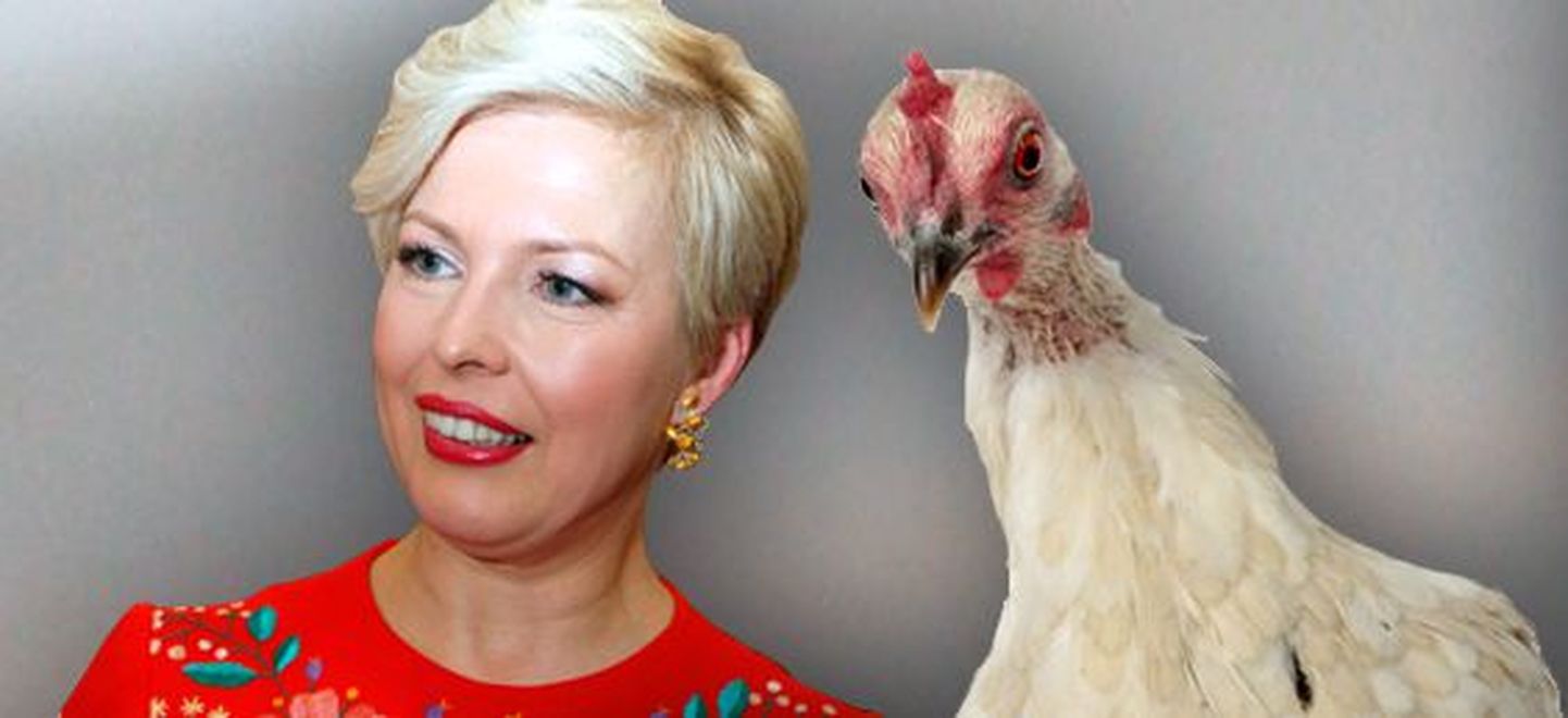 Первая леди Эстонии Эвелин Ильвес считает, что куриц можно разводить и в обычной квартире