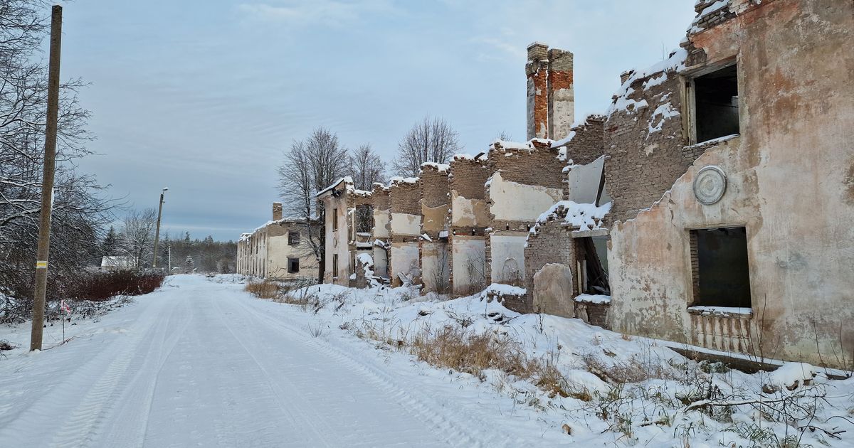 Девушка раздевается до гола на улице зимой (67 фото)