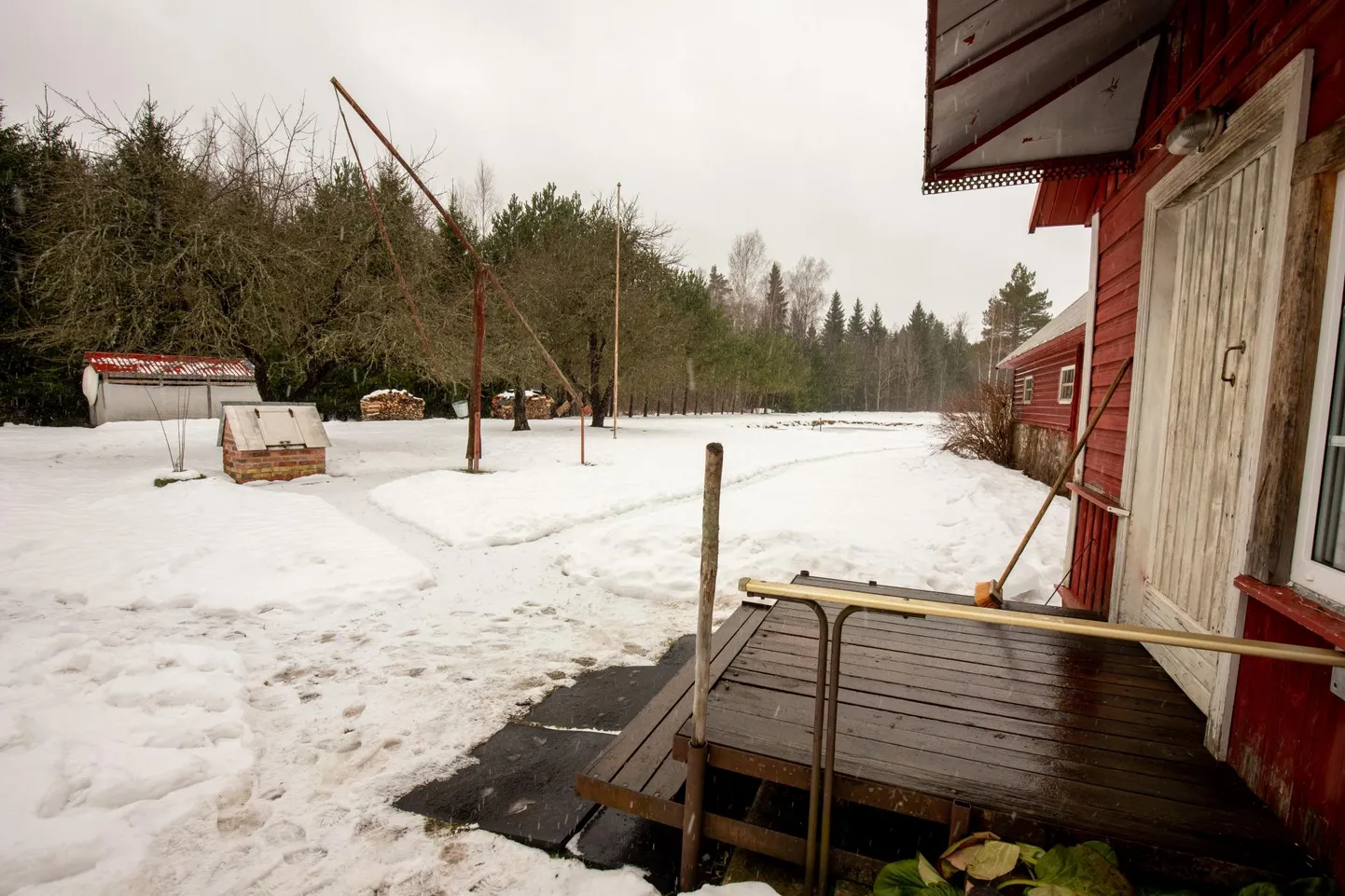 Kui kaevandajale antakse roheline tuli, kõrguks Lepiku talu kuuskede asemel müravall.