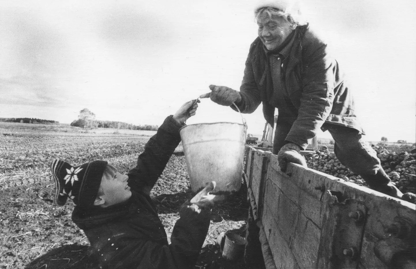 Kartulivõtt võis olla lõbus töö ja lapsed olid rahul – ei olnud vaja koolitööd teha.