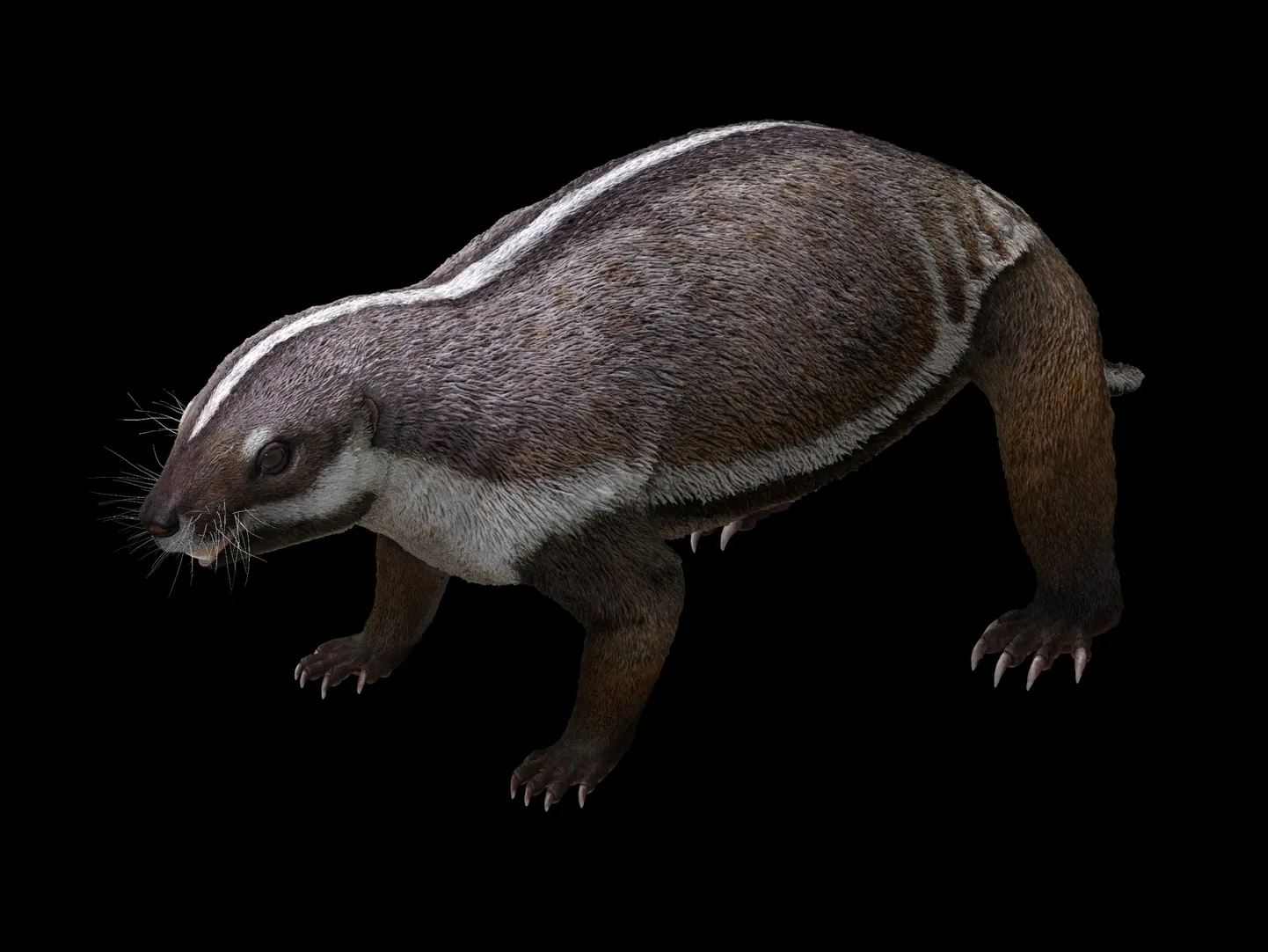 Adalatherium ehk "hull elukas"