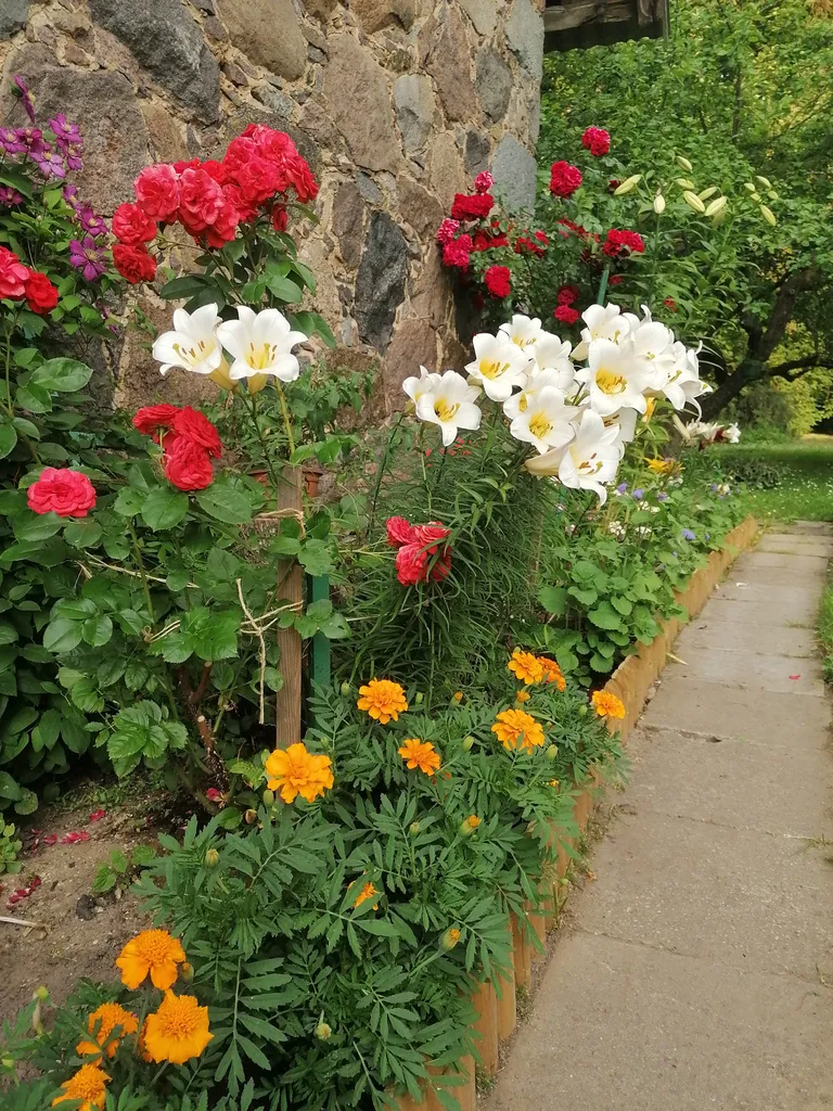 Hele Külaotsa lillepeenar.