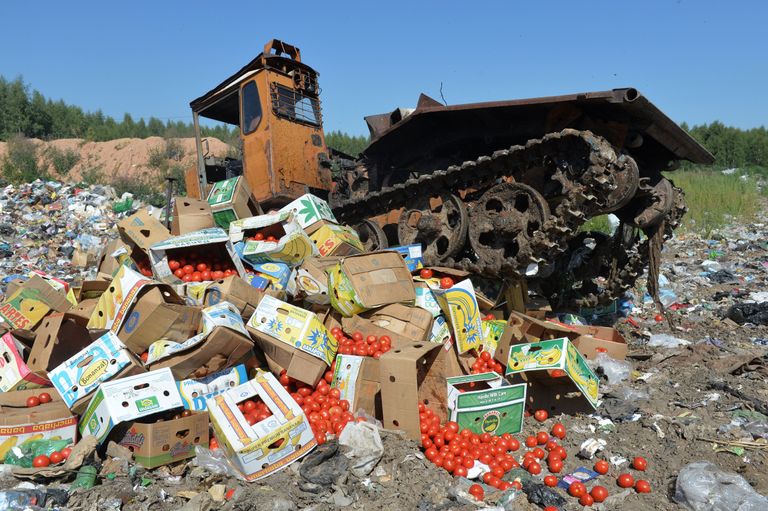 Läänest imporditud tomatite hävitamine Venemaal / Scanpix