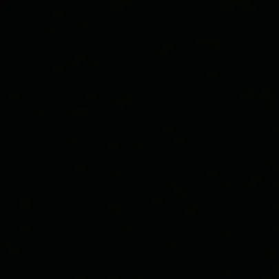 «Donda»
G.O.O.D Music/Def Jam