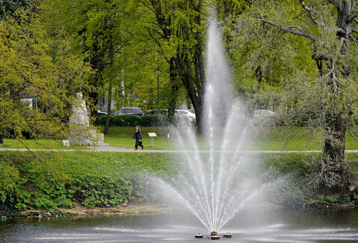 Фото статьи